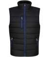 RG445 TRA892 Regatta Navigate Thermal Bodywarmer Black / new royal blue colour image